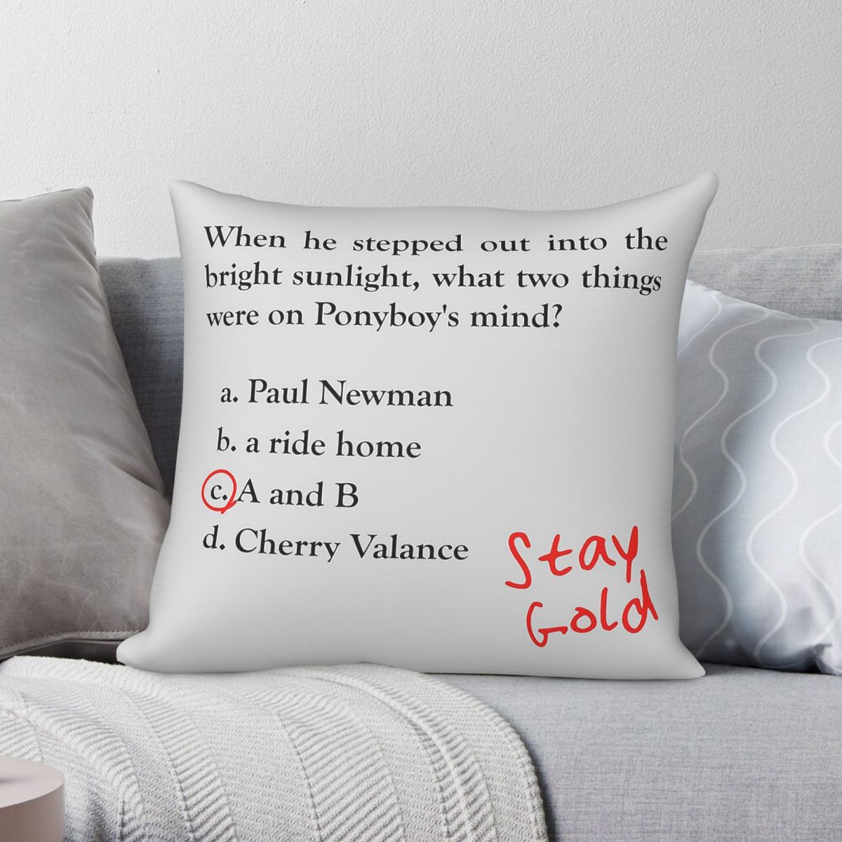 Outsiders Ponyboy Quiz Questio - огляд і ціна Home Decor Quiz