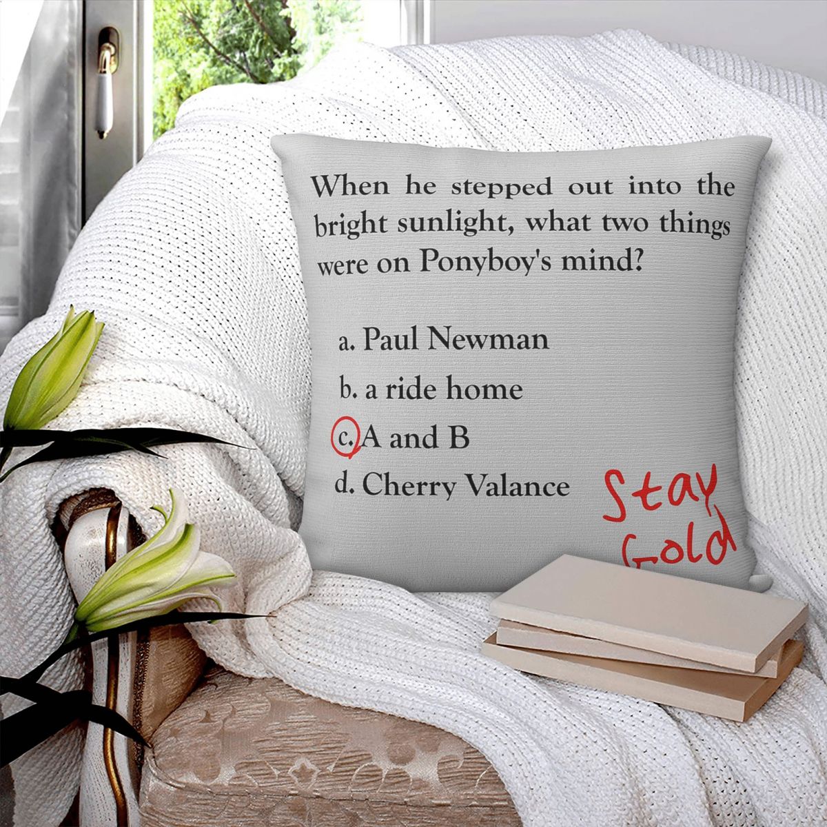 Outsiders Ponyboy Quiz Questio - огляд і ціна Home Decor Quiz