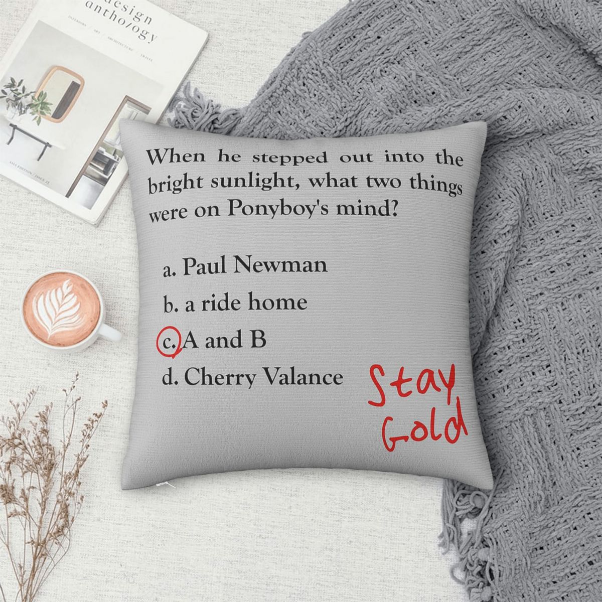 Outsiders Ponyboy Quiz Questio - огляд і ціна Home Decor Quiz